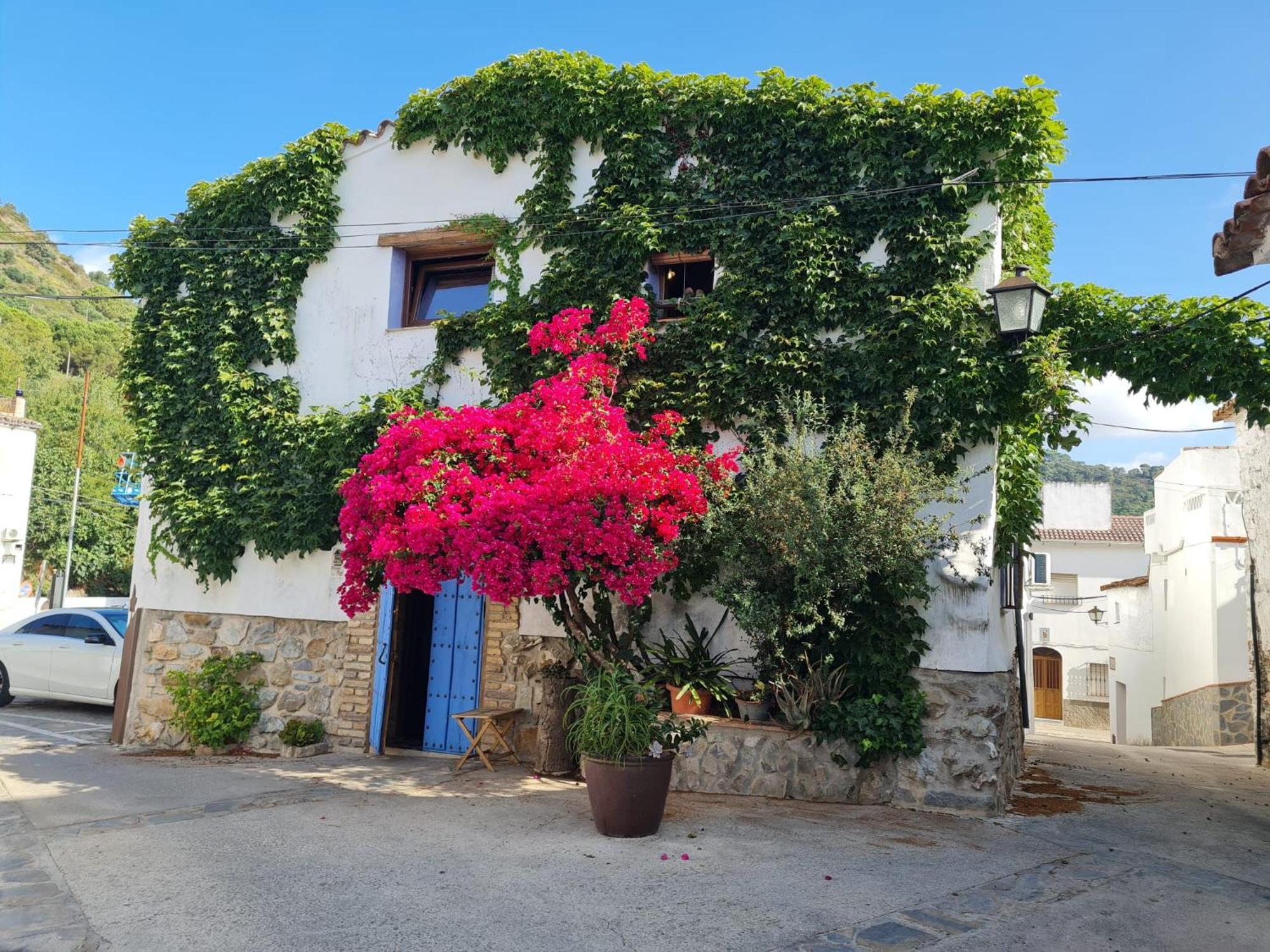 Casa La Yedra By Casaturistica Villa Benarrabá Buitenkant foto
